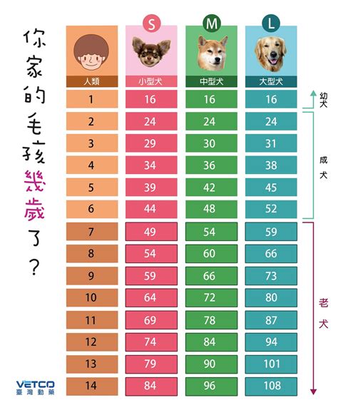 狗 15歲|狗犬與人類的年齡簡易對照換算表